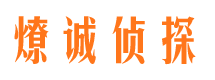 山城出轨调查